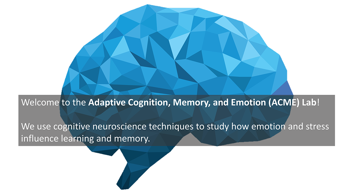 The Adaptive Cognition Memory And Emotion Lab The Clewett Lab At UCLA